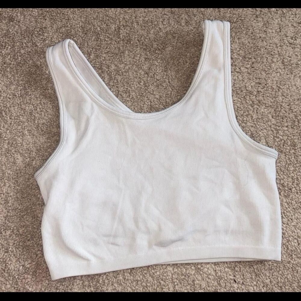 Aerie Women's White and Blue Vest